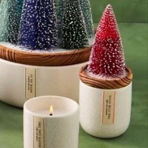 Anthropologie Christmas Candle Apple and Cinnamon